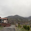 정의농장 | 충남 보령 <마르페힐링팜> 펜션 산빛정 숙박 추천 촌캉스 에어비앤비 내돈내산 후기