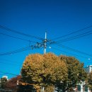 불광역9번출구 이미지