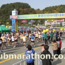 배통 이미지