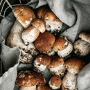 암스트롱요양병원 이미지