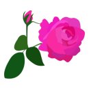 거기조아 이미지