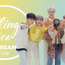 엔씨티주민센터 NCT DREAM(엔시티 드림)의 킬링보이스를 라이브로! | 딩고뮤직 | Dingo Music 이미지