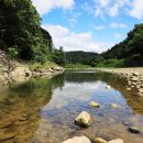 맑은물소리캠핑장 이미지