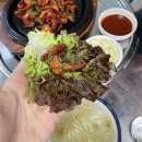 새벽닭이울때까지 - 창녕군 명덕로 11 | 새벽닭이울때까지