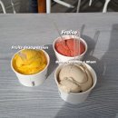 [09.07~09.10] 교환학생 여행일기: 프랑스, 니스 여행 (France, NICE)