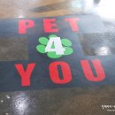 펫포유(PET FOR YOU) 네이버블로그