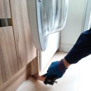 게으른 반달 이미지