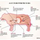 대창건어물 - 남구 명덕로14길 13 | 대창건어물