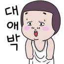 서현펫# 이미지