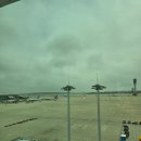 터미널유리 | 인천공항 제2여객터미널 전망대 후기｜강동석관부터 비행기 전망, 카페까지 무료 가볼만한곳