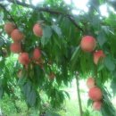 옥동농장 이미지