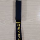 태권도 branch 이미지