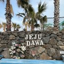 하나애견 이미지