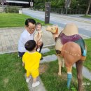 난타(오후) 이미지