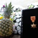 완도대성병원 이미지