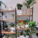 뚜레쥬르 의왕내손점 이미지