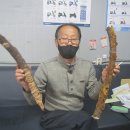 태춘당약국 이미지