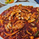 신안산낙지 이미지