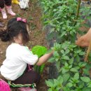 세원농장 이미지