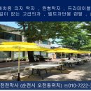벌교천막사 네이버블로그