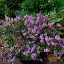 수원성첨성대한증막 이미지