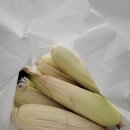 산호야관광농원 이미지