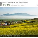 꽃길만걷자6 이미지
