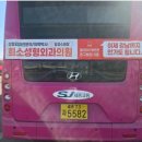 포인트성형외과의원 | 세종버스광고 실제 집행사례, 희소성형외과의원이 버스광고를 선택한 이유 (운영·설계 리포트)