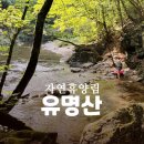11545-11-32-79 | 서울근교 계곡 여행 가평 유명산자연휴양림 예약성공 숲속의집 58,000원! 최고!