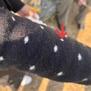 건우기업4 | 노느라 2월의 흐름을 하나도 못잡았어요 •••