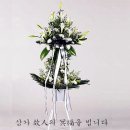 봉암동303 이미지