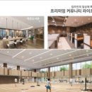 수지디시