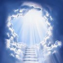 관절천국 이미지