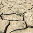 북후면행정복지센터 이미지