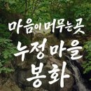 봉화정자문화생활관 이미지