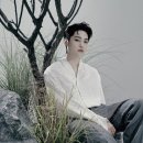 제이비와이