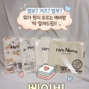 한스네이쳐