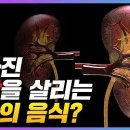 ﻿신장에 좋은 최고의 음식 5가지! 섭취법, 고르는법, 보관법 등 모든 것! (신장 좋아지는 방법) 이미지