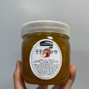 꿋꿋한농원 이미지