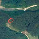 봉화공인중개사사무소 이미지