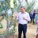 감귤약국 이미지