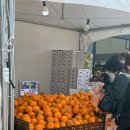 나이스마트 정육코너(상모점) | [천안] 중앙할인마트 천안점ㅣ3월 4주차 행사 시작 4월 봄바람 타고 온 할인 혜택 전단지행사 방문 후기