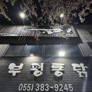일미야식 | 야식은 역시 치킨! 양산 평산동 부평통닭 찐후기