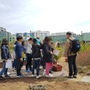 구로남초등학교 이미지