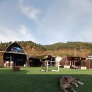 중앙카부분정비 | [경기도 / 가평] 🏕️가평원더풀카라반&amp;글램핑에서 냥이들과 함께 힐링을!