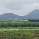태산그린아파트 방향(북동쪽) | 인천, 시흥 학미산, 망재산, 장아산