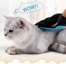 제이스그루밍 이미지