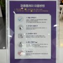 다나안마원 | 대전 당일치기 2탄] 퍼퓸플레이, 망고타이, 단골되고픈 쯔보미식당