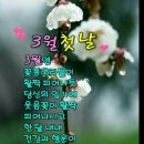 성림상사 네이버블로그