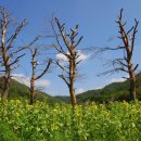 자생식물원 이미지